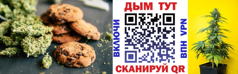 Cannafood конопля  магазин  наркотиков  Гурьевск 