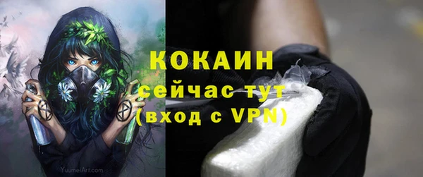 кокс Алзамай