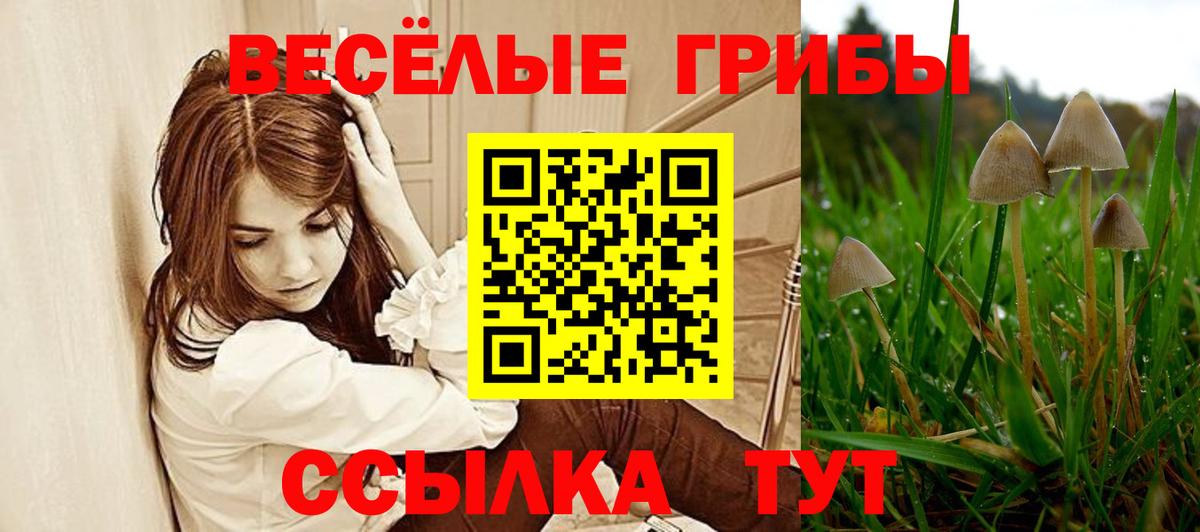 ГАШ Гурьевск