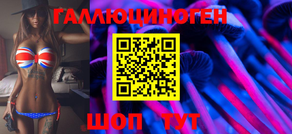 Гурьевск  Галлюциногенные грибы ЛСД  Вход с VPN  Псилоцибиновые грибы ЛСД 